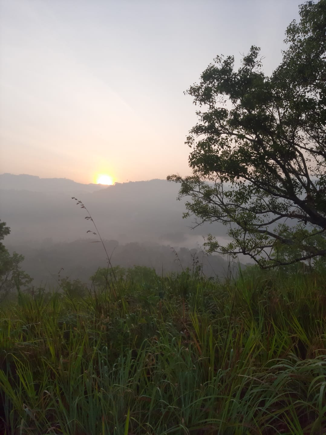 Heritage Walauwa Image